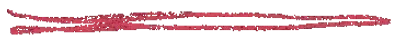 Decorative underline below agency heading